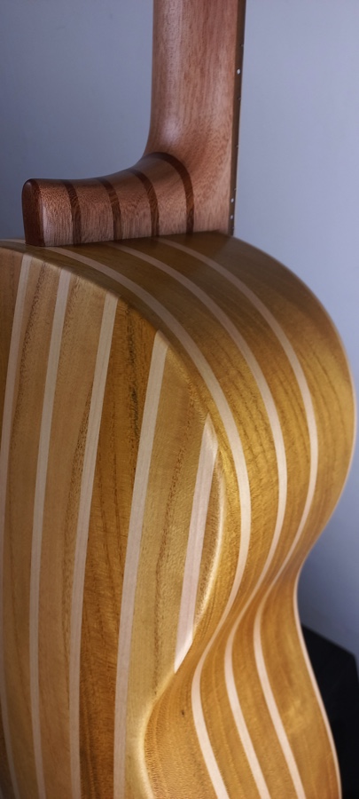 chitarra Battente Bressi 47