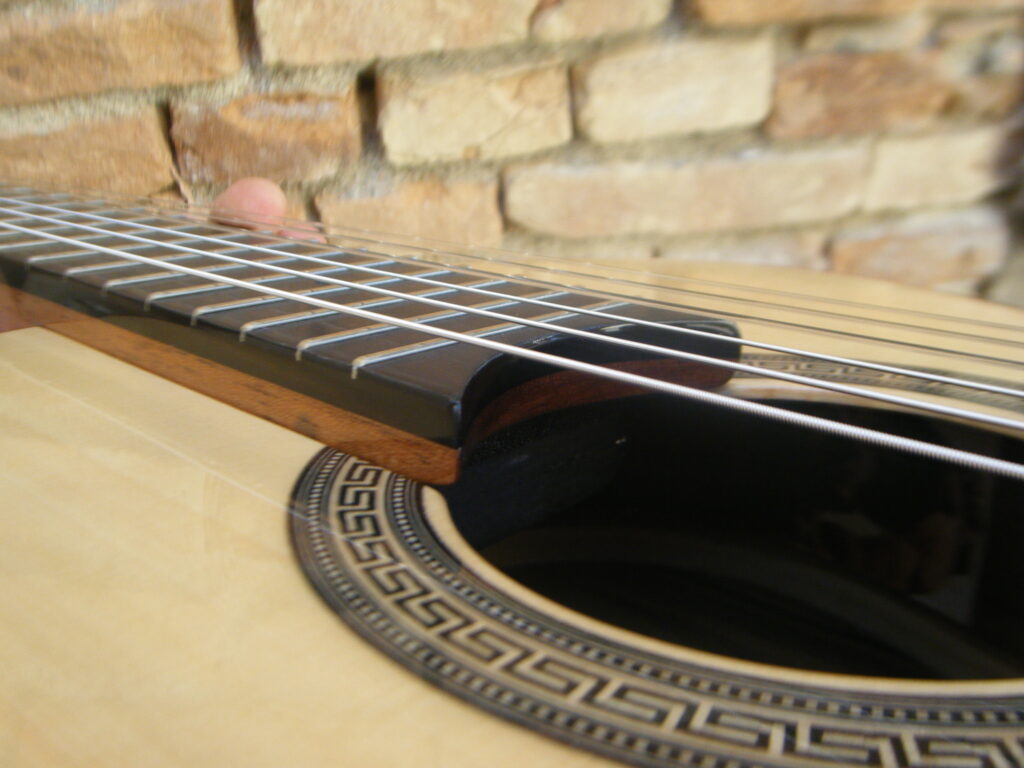 classica abete ziricote 18
